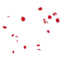 Floating red rose petal isolated on white. Background concept for love greetings on valentines day and mothers day. Space for text. rose for love Beautiful floral overlay with flying pink petals at tr
