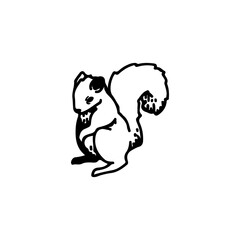 squirrel vector illustration with concept