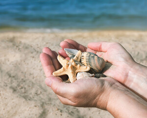Starfish and seashells in the palms against the background of  the seaside.