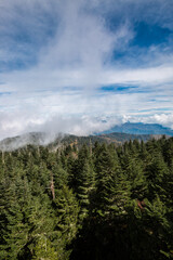 Great Smoky Mountains National Park Scenic Sunrise Landscape at Oconaluftee 