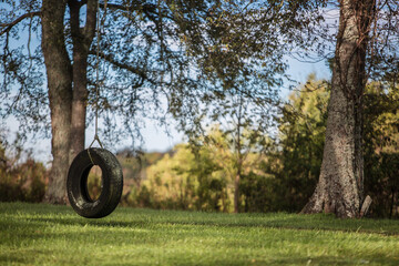 Empty tire swing along with green trees