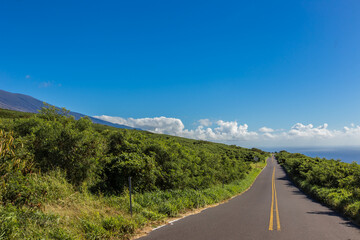 The back roads of MThe back roads of Maui in Hawaiiaui in Hawaii - obrazy, fototapety, plakaty