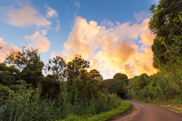 The back roads of Maui in Hawaii - obrazy, fototapety, plakaty