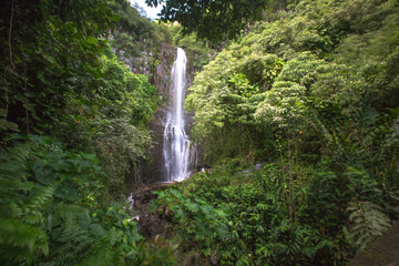 island of Maui in Hawaii with a waterfall - obrazy, fototapety, plakaty