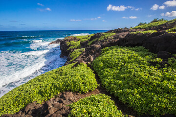Landscape beach and ocean view on the island of Maui in Hawaii  - obrazy, fototapety, plakaty