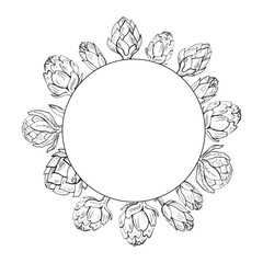 Artichoke frame label template background for text. Edible flower bud plant, vector illustration, healthy vegetables. Fresh whole artichoke design label for packaging, logo, card, banner.Hand drawn 