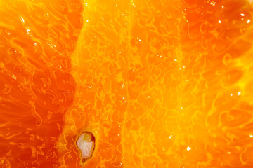 Macro closeup image of a plant © ShutterFalcon