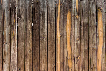 Old wood wall plank texture
