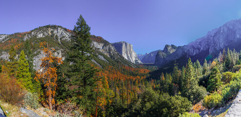 Yosemite National Park upper Valley of the park with El Capitan