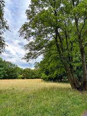 Obraz premium Britzer garden