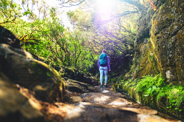 Low angle shot of hiker walking along a tree overgrown water canal on a sunny day. 25 Fontes waterfalls, Madeira Island, Portugal, Europe.