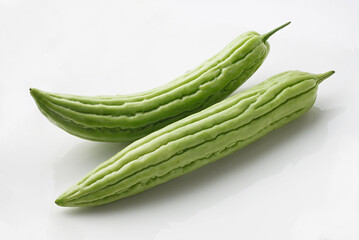 ゴーヤ　　スタジオ撮影　
