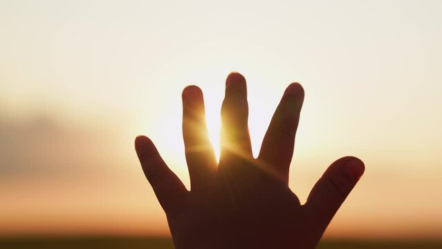 Hand of child boy stretches to beautiful sky, sunset. Childrens dreams hopes, reach out your hands to sky. Childrens prayer. Boy stretches his hand to beautiful sky, dreams in nature. Child is playing