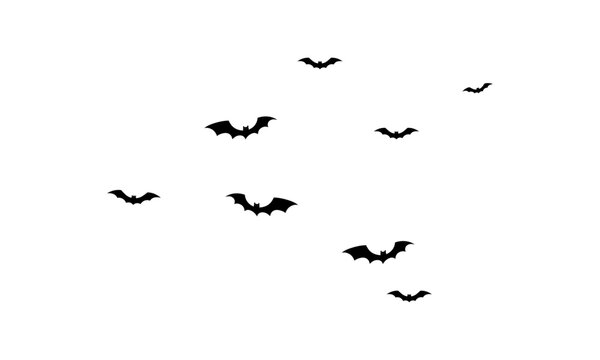 Vector halloween flying bats. spooky bats flock, creepy horror vampire winged animal vector background