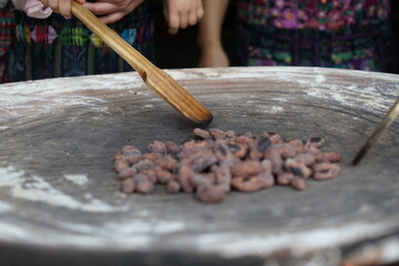 Raw cacao beans being roasted on traditional comal clay griddle in Guatemala