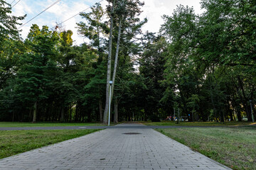 Chodnik ciągnący się przez park o letniej porze w obszarach podmiejskich zachodniej Polski
