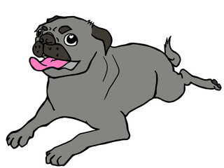 笑顔で待てのポーズをする黒パグ