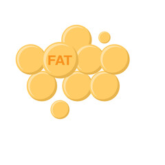 fat, oil, 