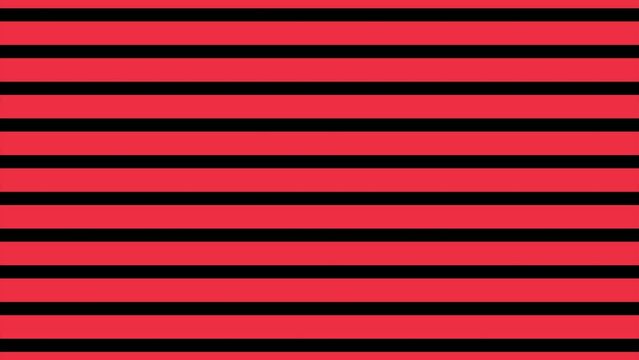 red and black lines abstract background animation