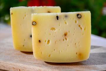 Cheese collection, Italian aged pecorino cheese with black peppers made in region Nebrodi, Sicily, Italy, close up