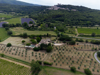 Obraz premium Aerial view on rows of vineyards, green fiels and Lacoste village in Luberon, Provence, France in July