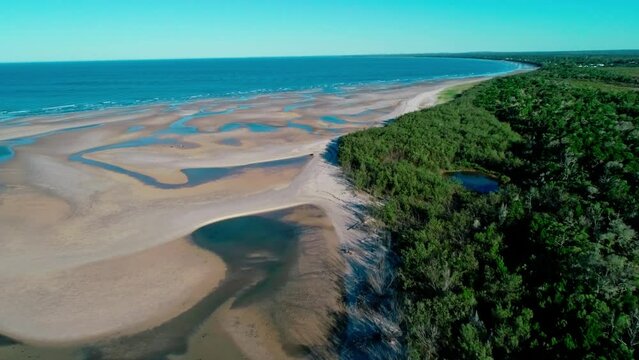 aerial view of beach with trees and blue ocean