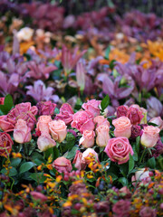 Jardin de flores foto variedad en colores 