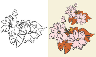 Illustration of withered jasmine flower torn and with holes