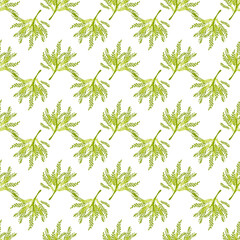 Summer abstract seamless pattern of marine plants. Marine theme. Algae. Print design, wallpaper, packaging. Vector flat illustration.