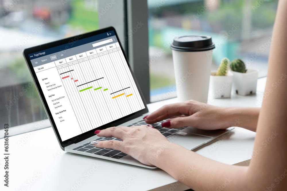 Aufkleber project planning software for modish business project management on the computer screen showing time