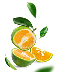 King orange, Calamansi or Green Orange Fruits with leaves isolated on white background