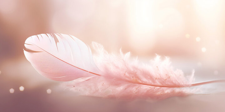 Pink feather background with sparkle details and blurred bokeh lights in light tones.