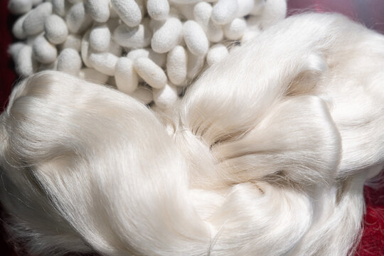 close up ofwhite silkworm cocoons with silk thread background.