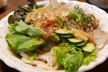 日本の暑い夏のとても美味しいサラダうどん