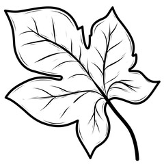 leaves isolated on white	