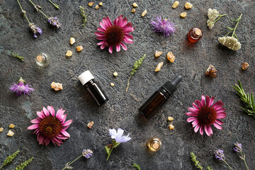Selection of essential oils with echinacea, frankincense, yarrow, thyme, lavender and rosemary