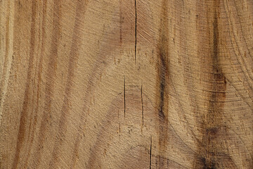 Tree. Cut wood texture with cracks