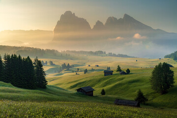 Seiser Alm (Alpe di Siusi) with Langkofel mountain at sunrise in summer, Italy - 631702074