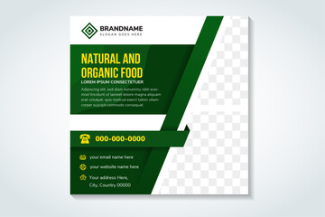 natural food and Fresh organic vegetable for social media post template. square layout with space for photo collage. combination green and yellow element on white background.