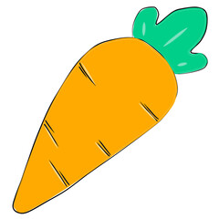 hand drawn illustration of a carrot