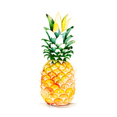 pineapple watercolor png