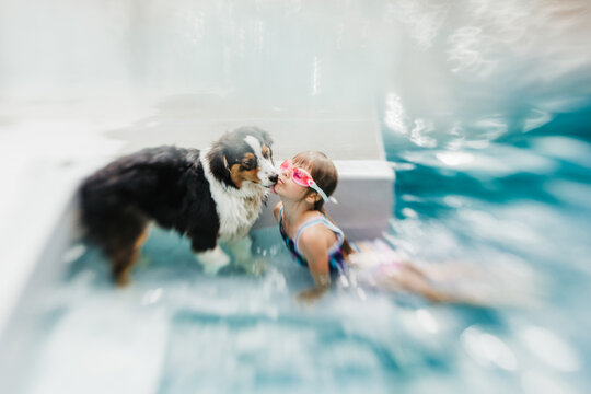 australian shepperd dog kissing a young girl in a pool