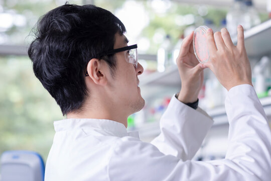 young scientist male chinese working in laboratory - Powered by Adobe