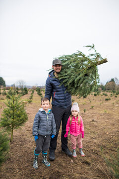 Dad and his two kids pictured with their Christmas Tree