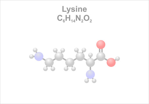 Simplified scheme of the lysine molecule. Essential amino acid.