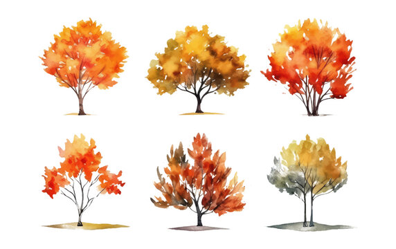 watercolor set vector illustration of colorful autumn tree isolated on white background fall concept