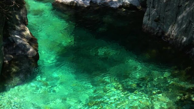 夏の阿寺渓谷