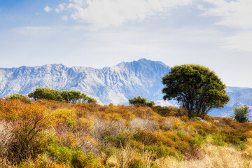 Afternoon near the Medieval Village of Sant’Antonio in the Balagne Region on Corsica