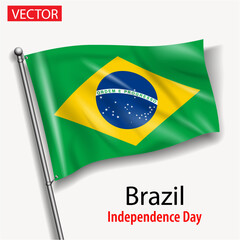 Brazil flag national independence day vector flags in America 