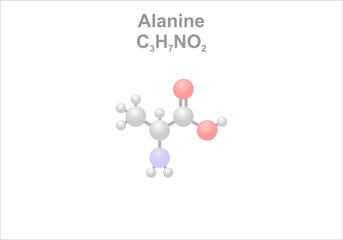 Simplified scheme of the alanine molecule.